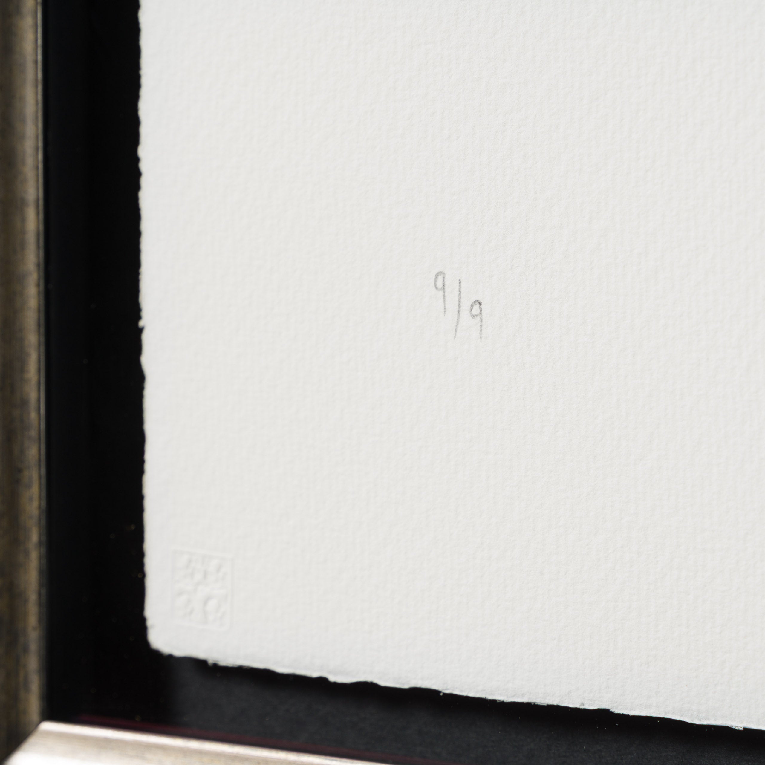 A Load of Old Bollocks of Many Colours |  Standard