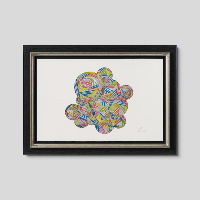 A Load of Old Bollocks of Many Colours |  Large