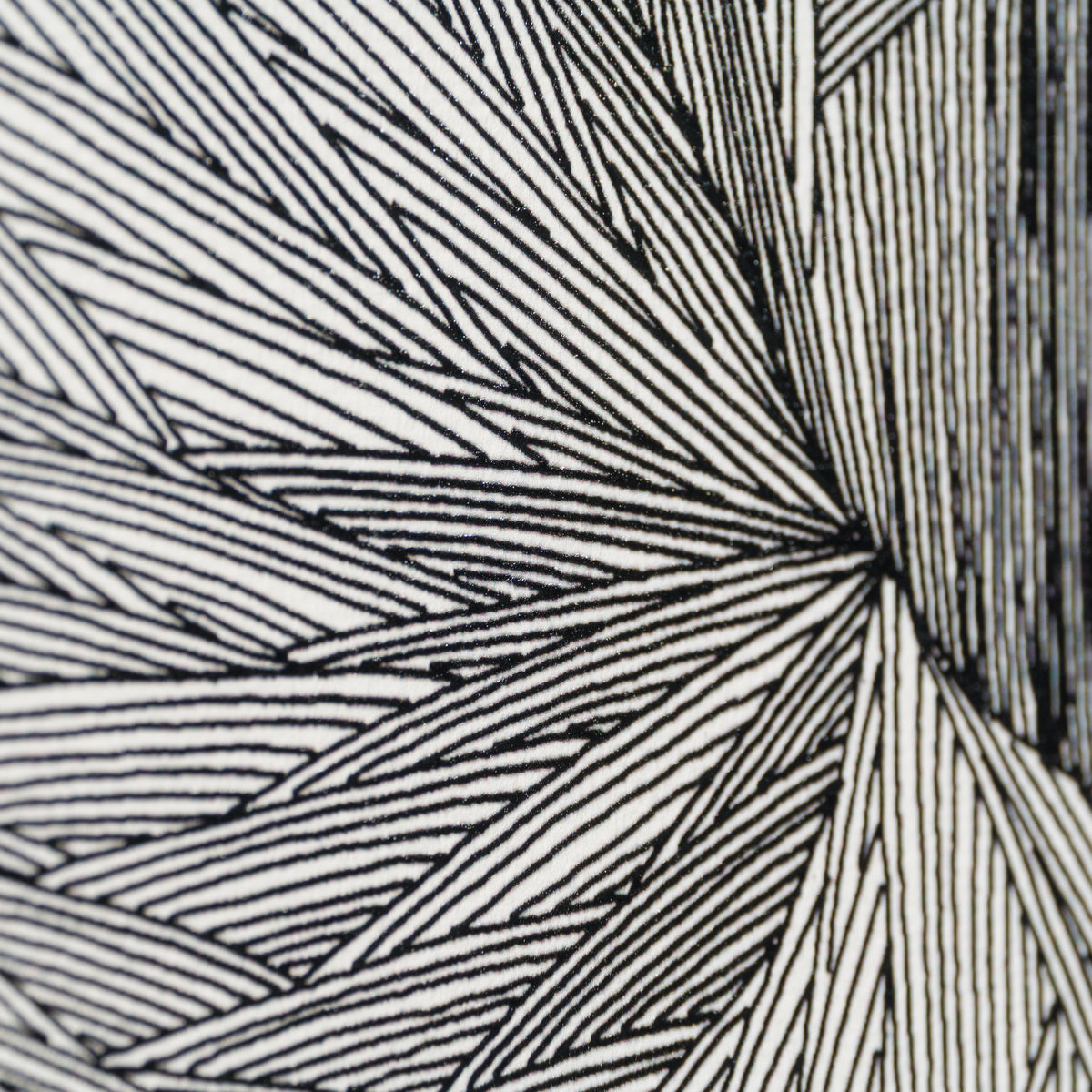 Born on a Rainy Day | The Collector Series 2026 | Framed Set of Six