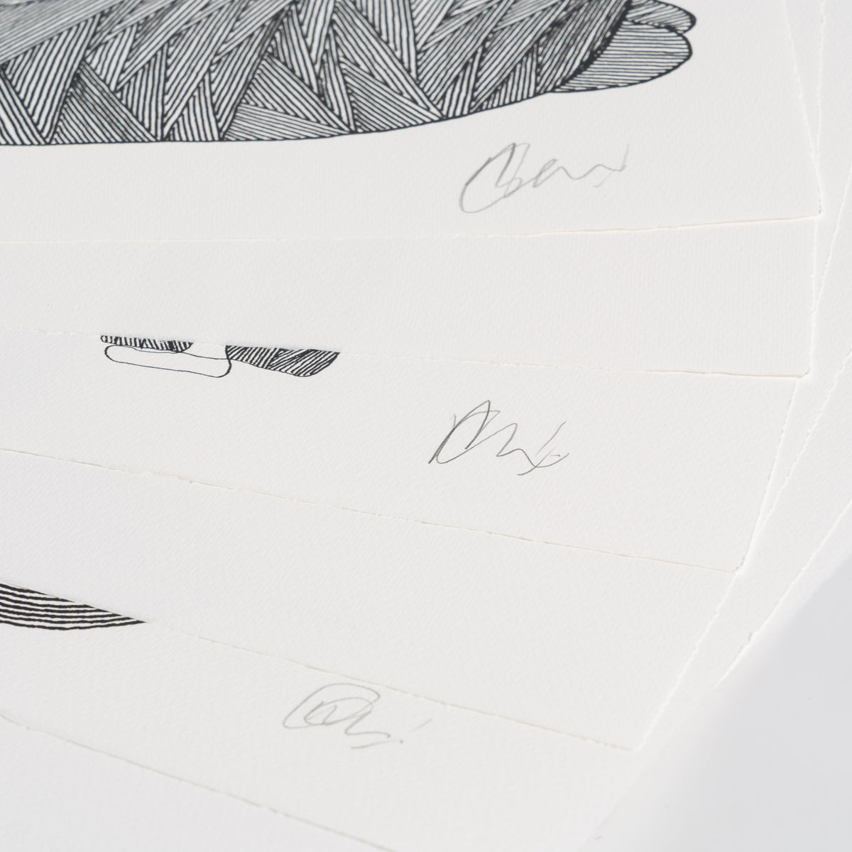 Born on a Rainy Day | The Collector Series 2026 | Portfolio Set of Six