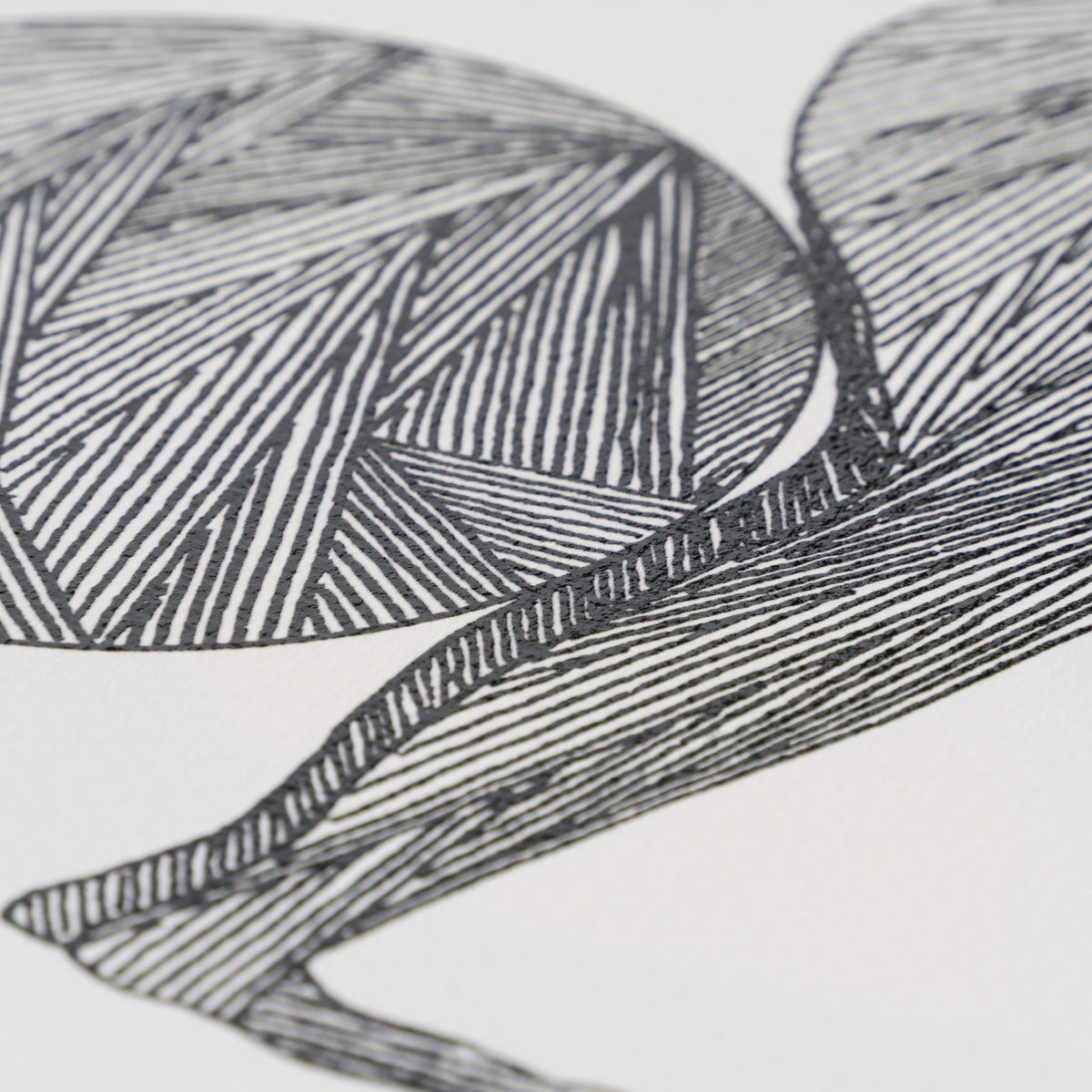 Born on a Rainy Day | The Collector Series 2026 | Portfolio Set of Six