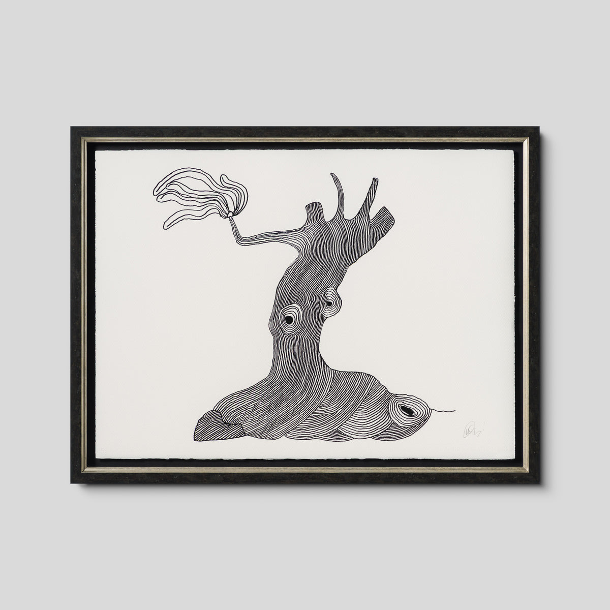 Born on a Rainy Day | The Collector Series 2026 | Framed Set of Six