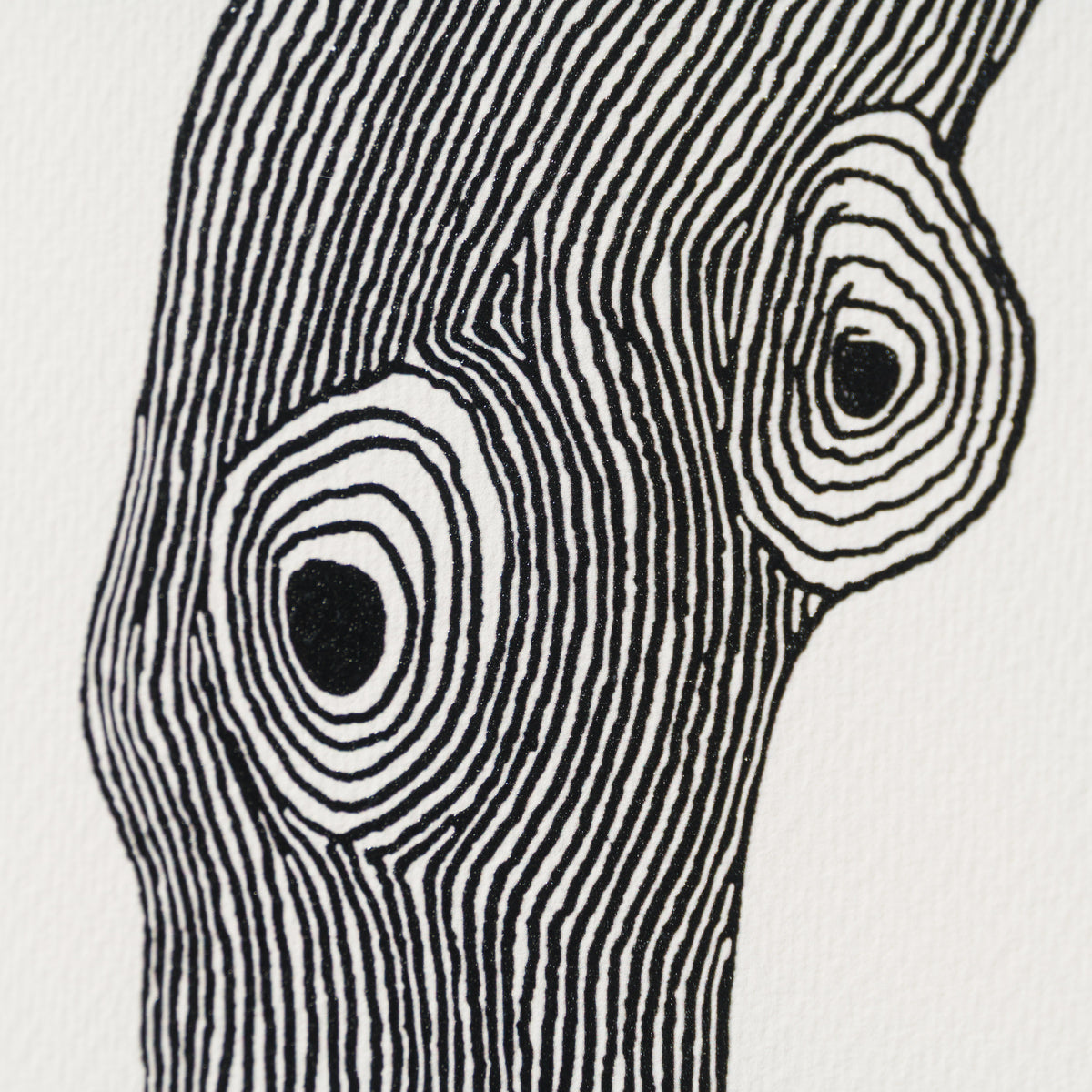 Born on a Rainy Day | The Collector Series 2026 | Framed Set of Six