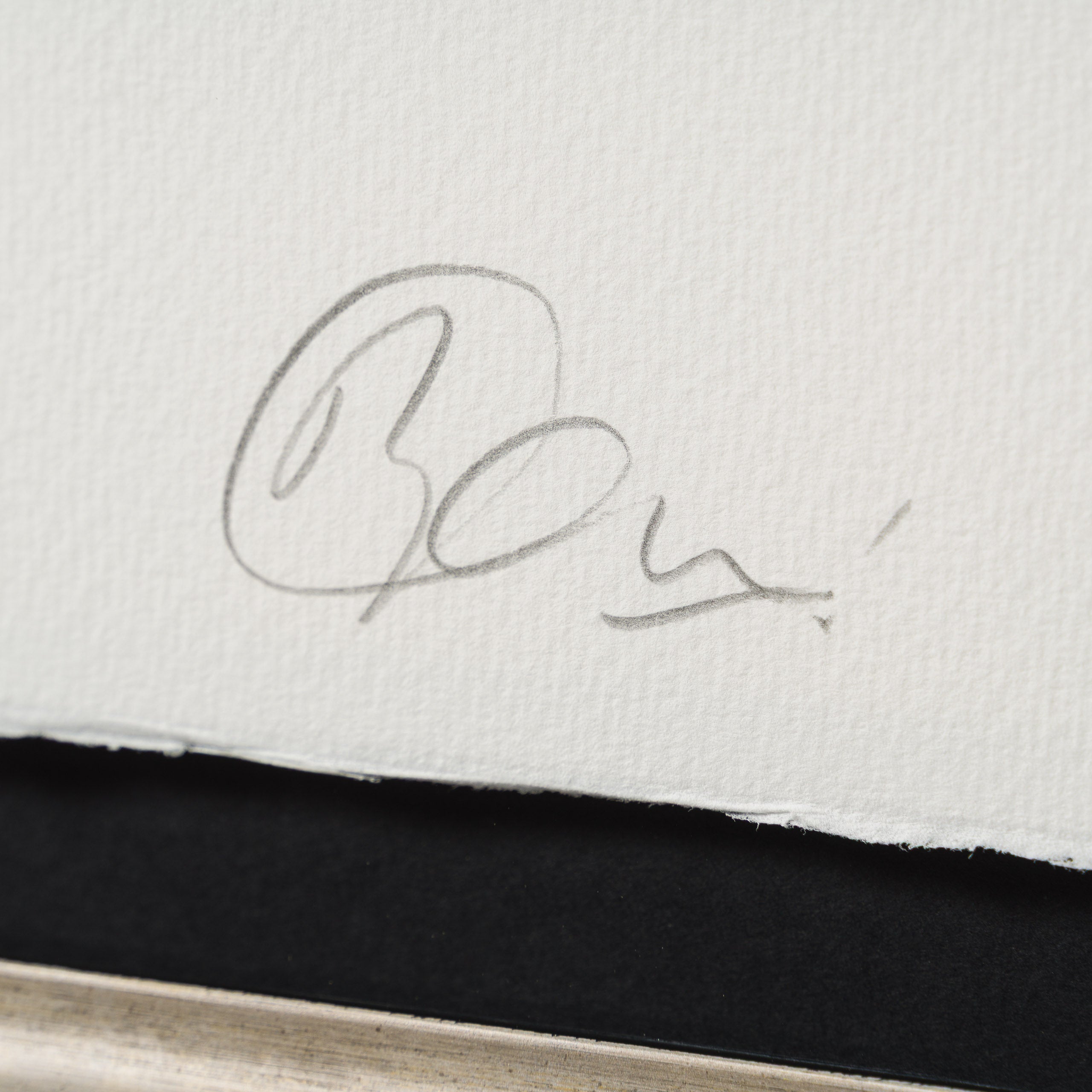 Weeeee! | Blue Circles | Large