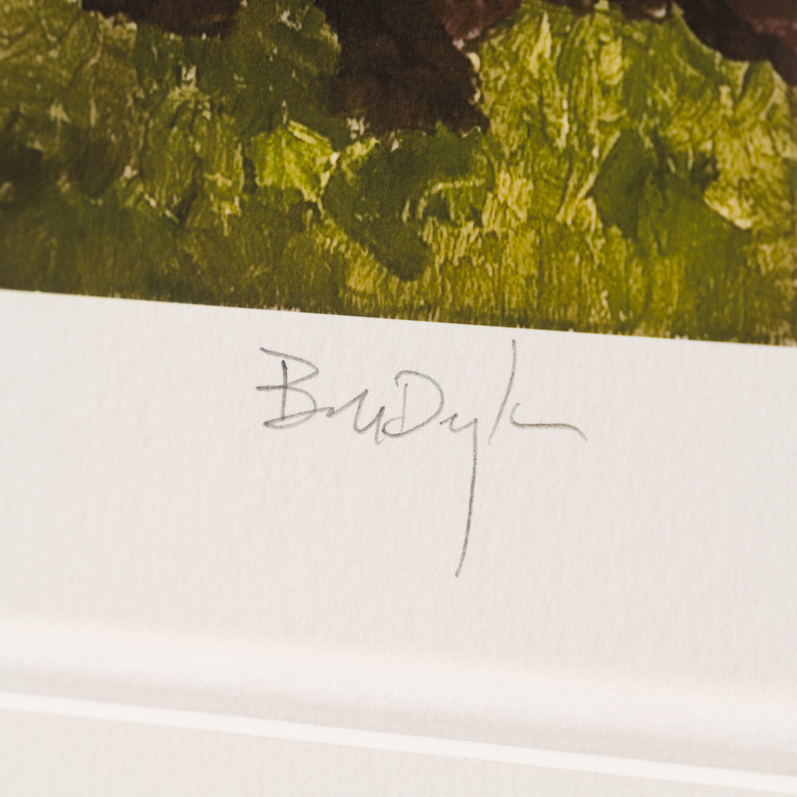 Favela Villa Candido (2015)