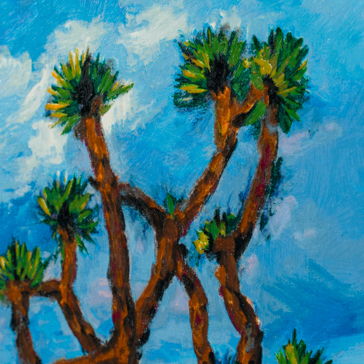 Joshua Tree, Sunrise Triptych II