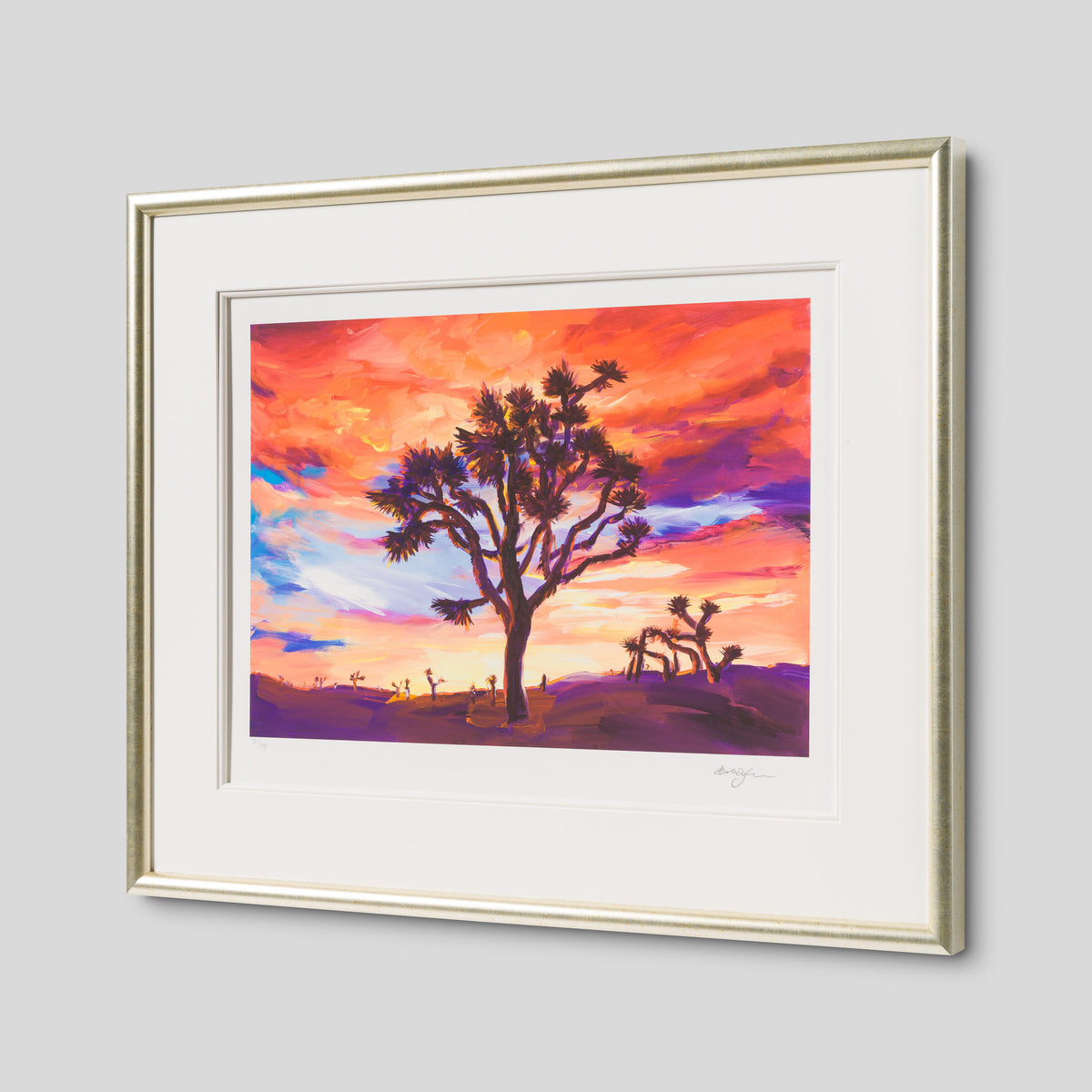 Joshua Tree, Sunrise