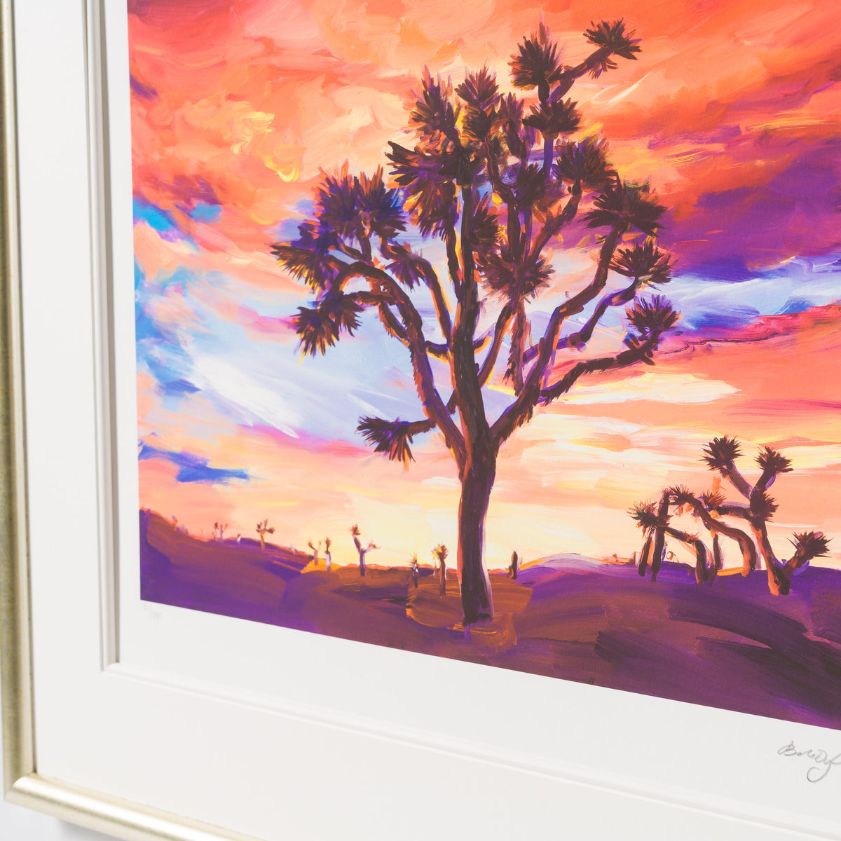 Joshua Tree, Sunrise