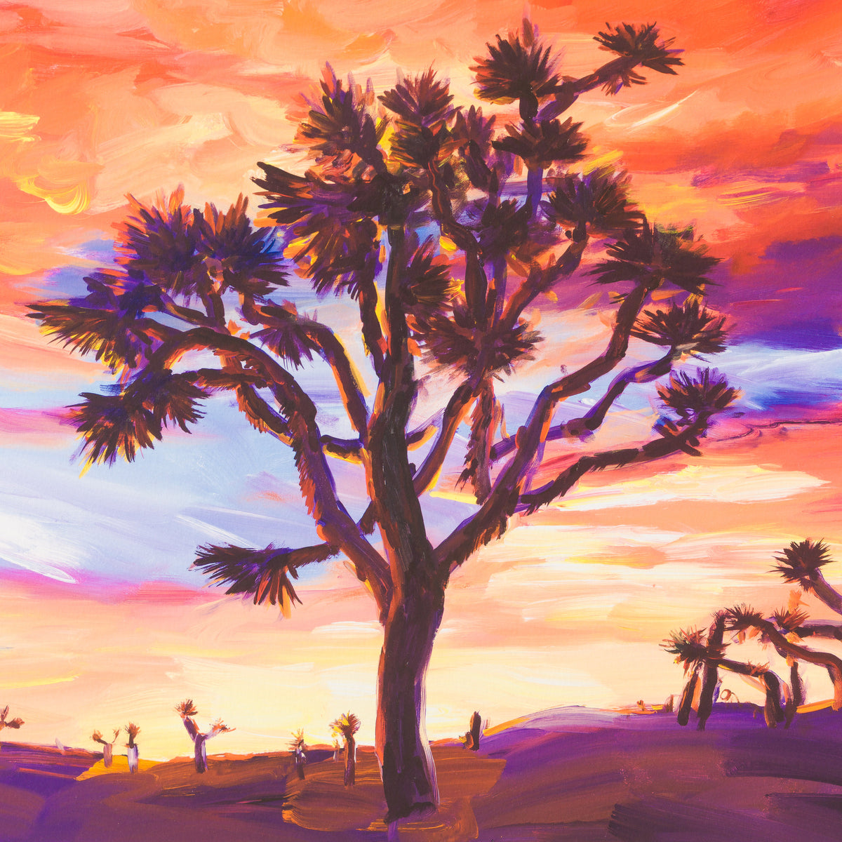 Joshua Tree, Sunrise