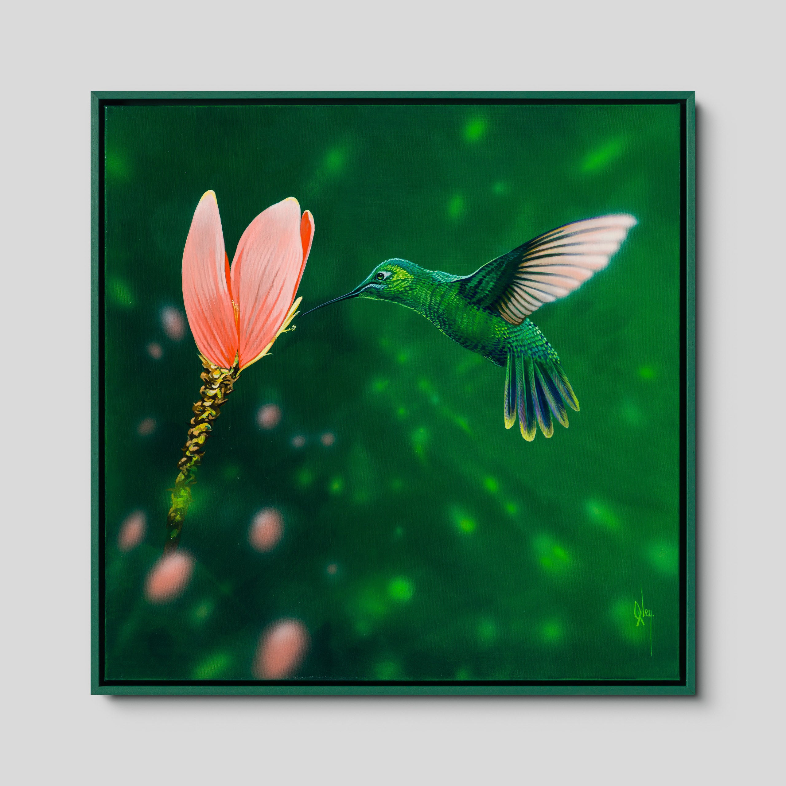 Ensifera
