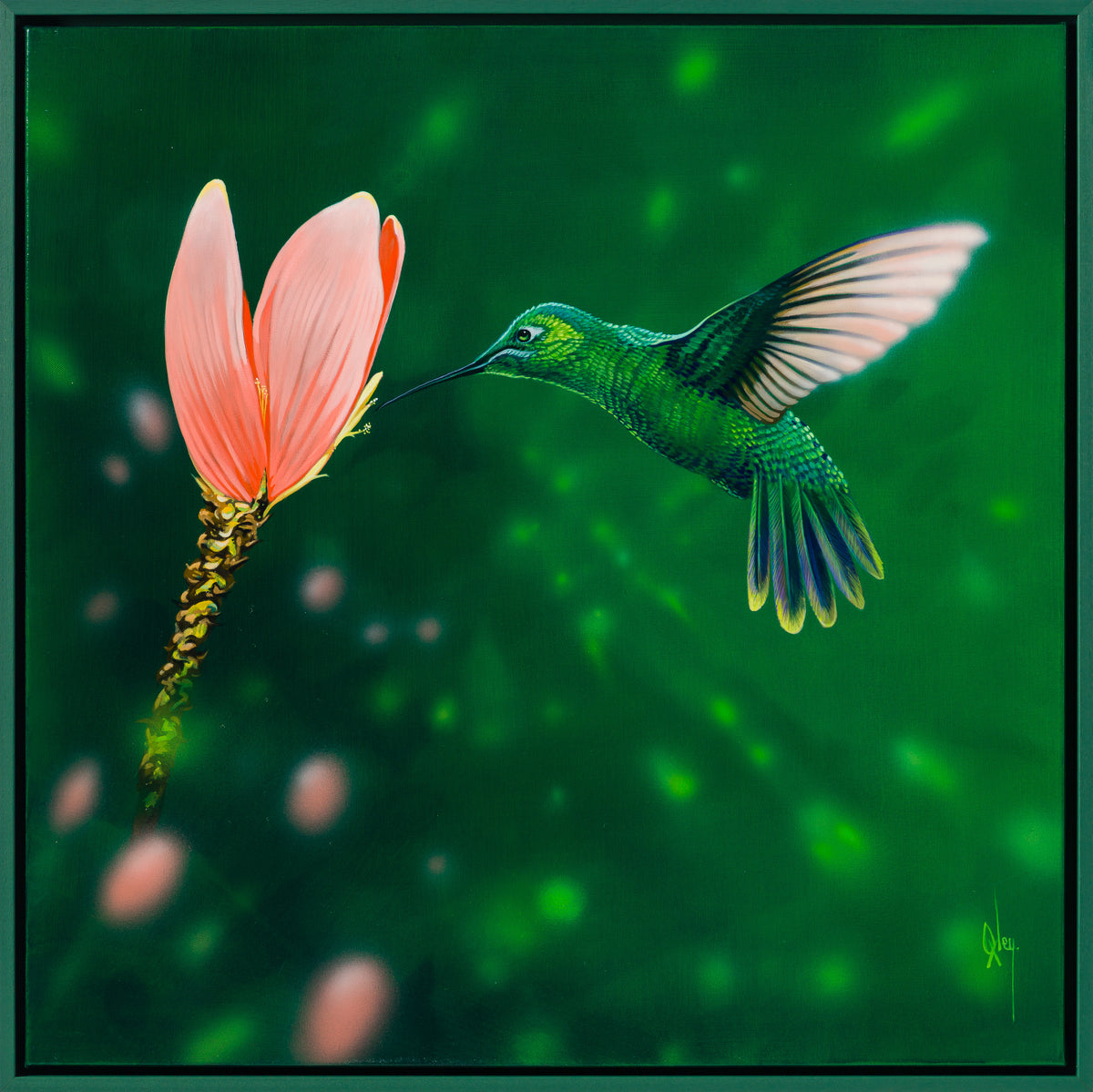 Ensifera