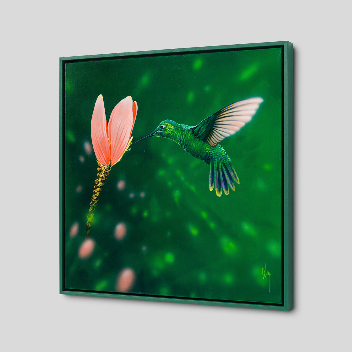 Ensifera