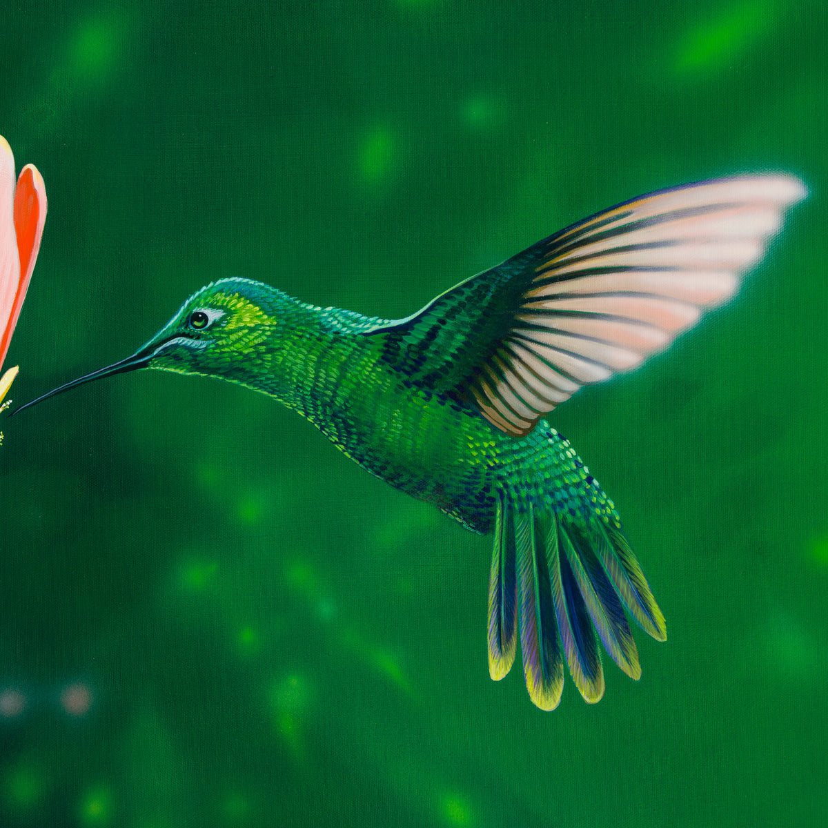 Ensifera