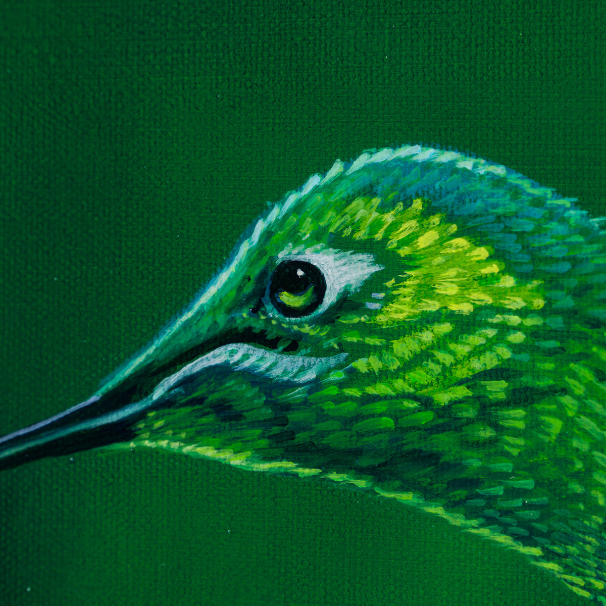 Ensifera