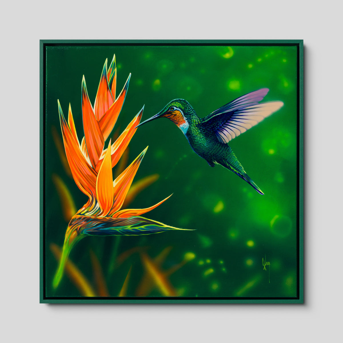 Cynanthus
