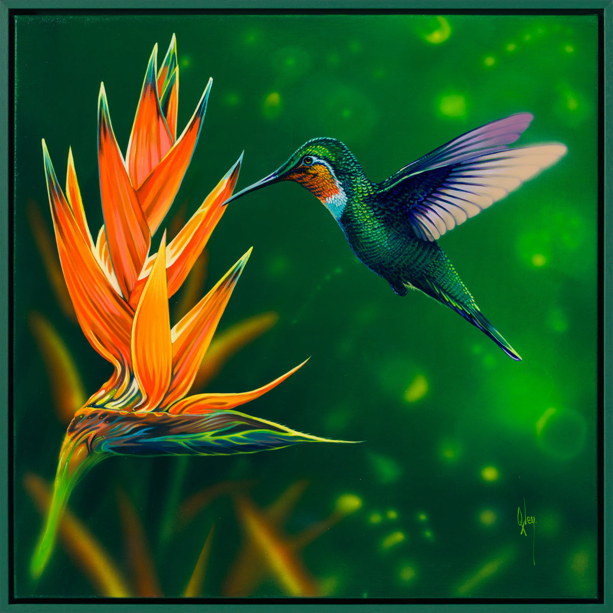 Cynanthus