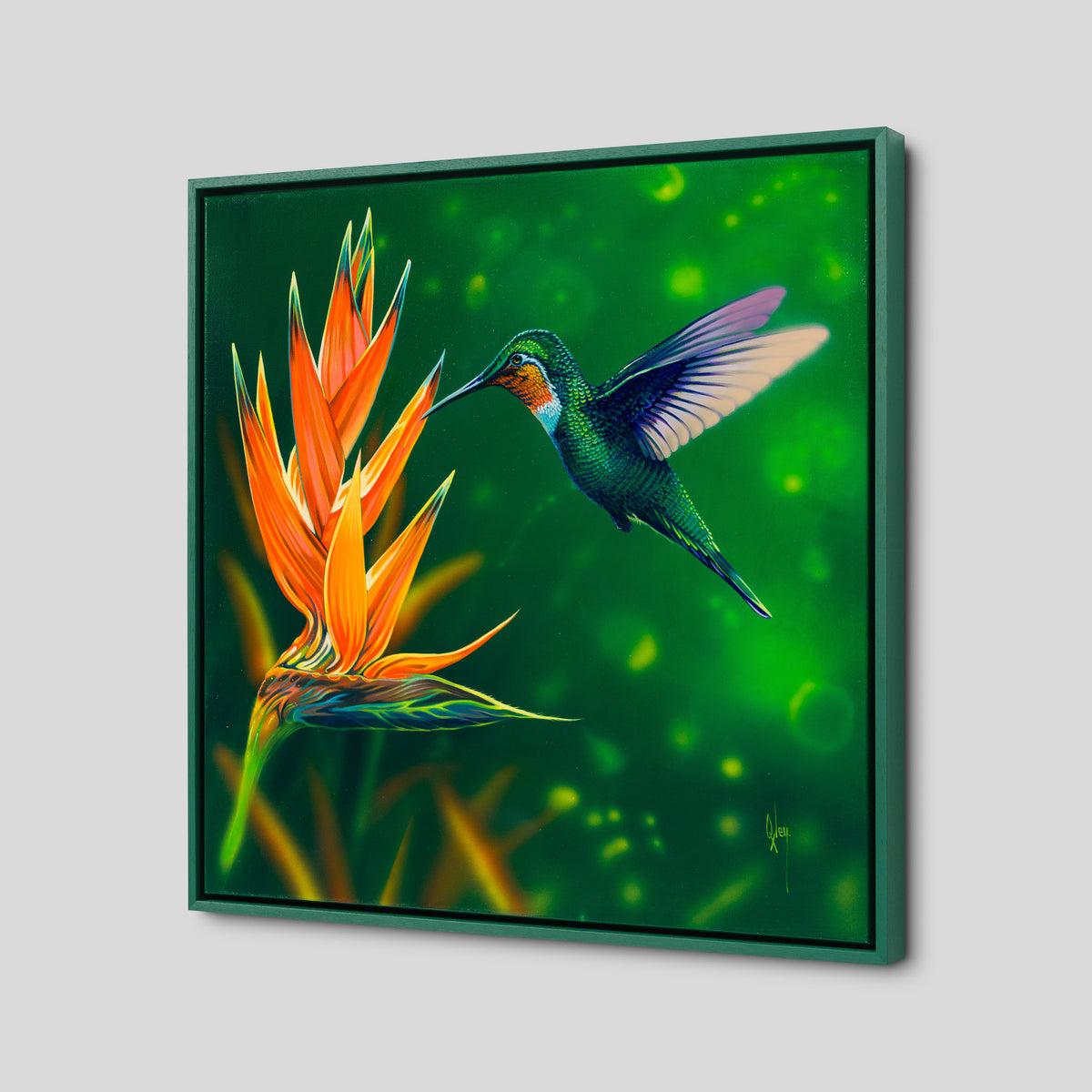 Cynanthus