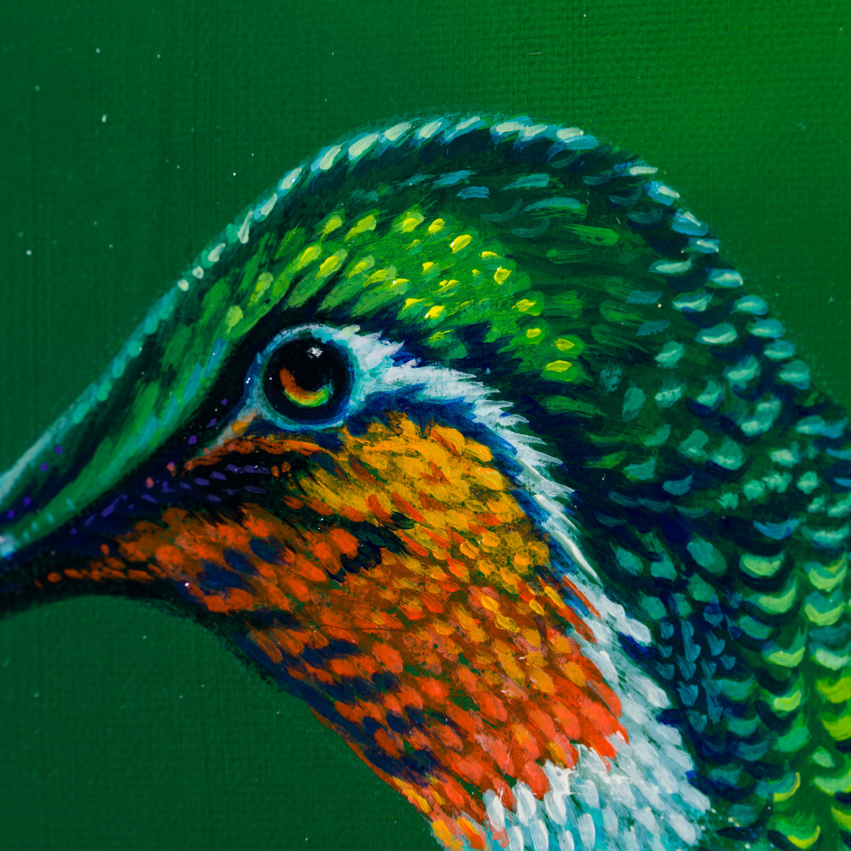 Cynanthus
