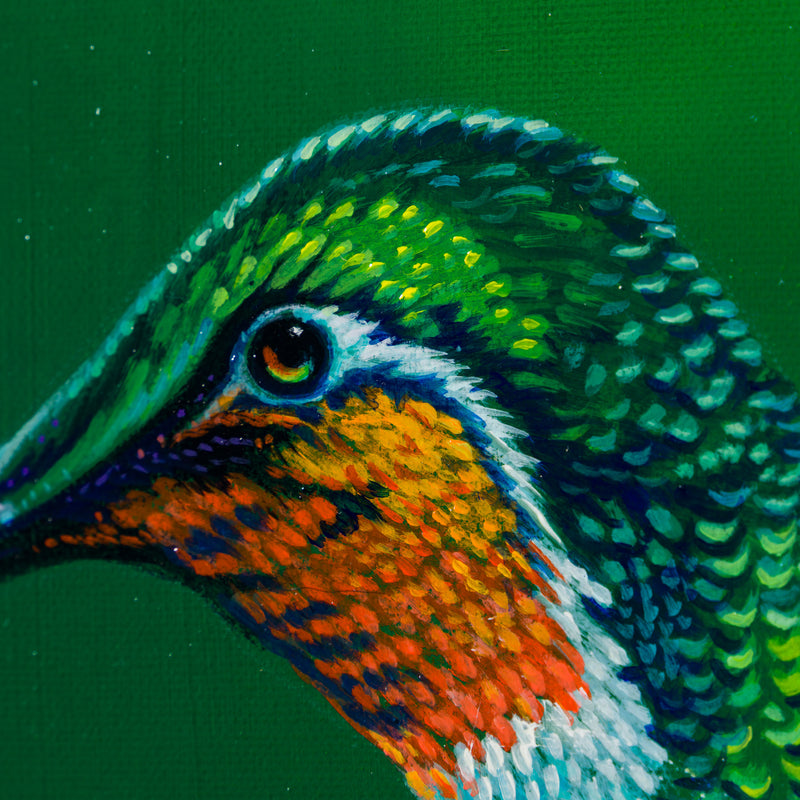 Cynanthus