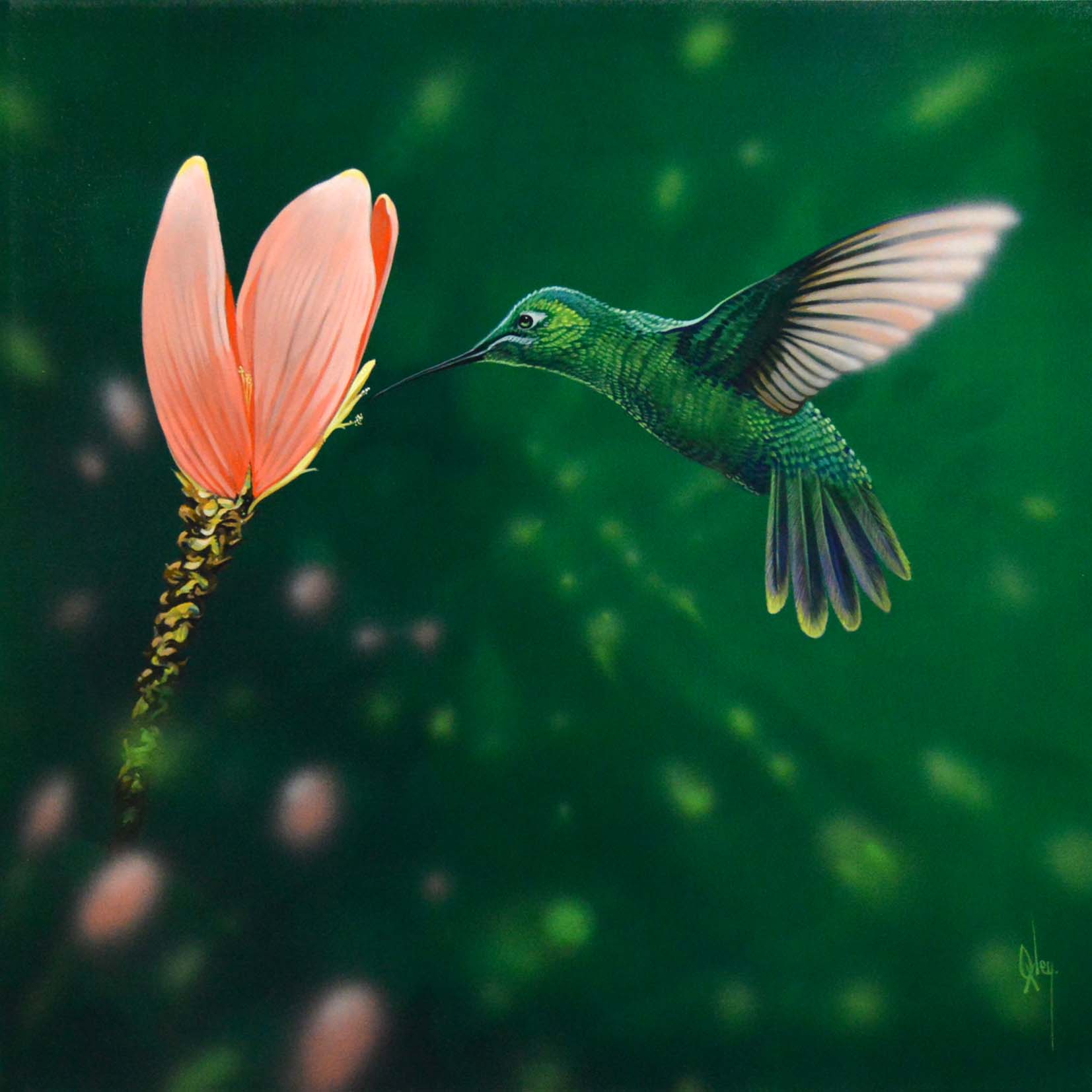 Ensifera