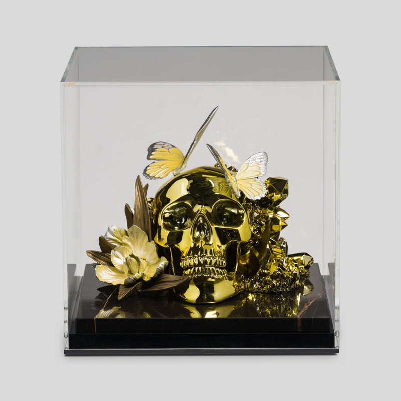 Of This Earth | Gold