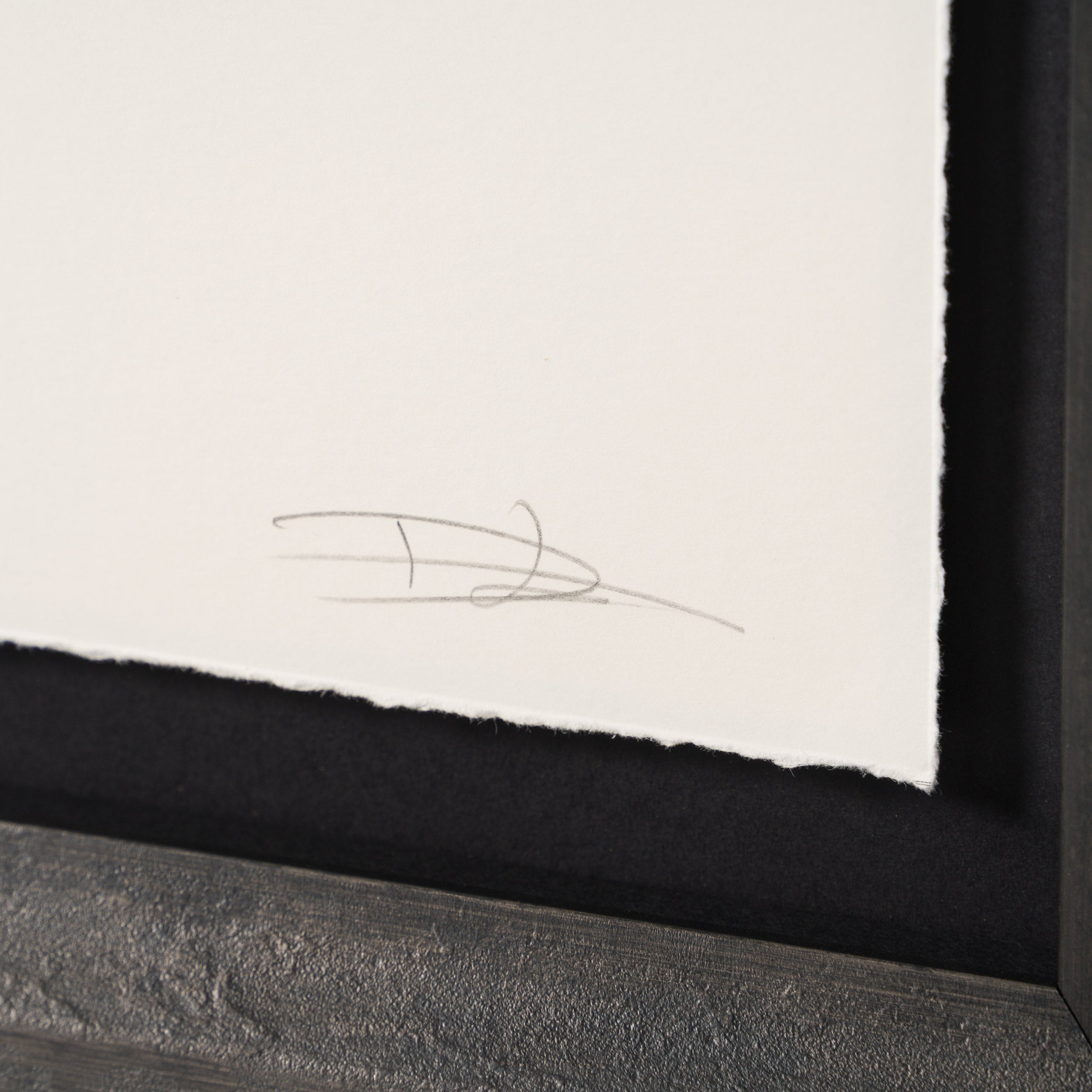 This Faith Never Dies