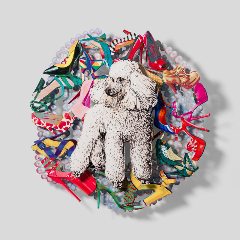 Ivory Poodle