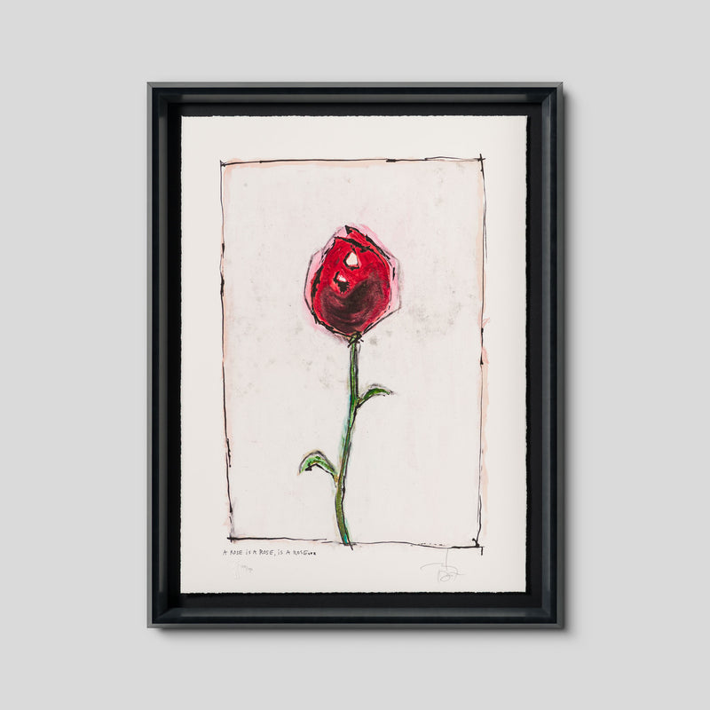 A Rose Is A Rose Is A Rose