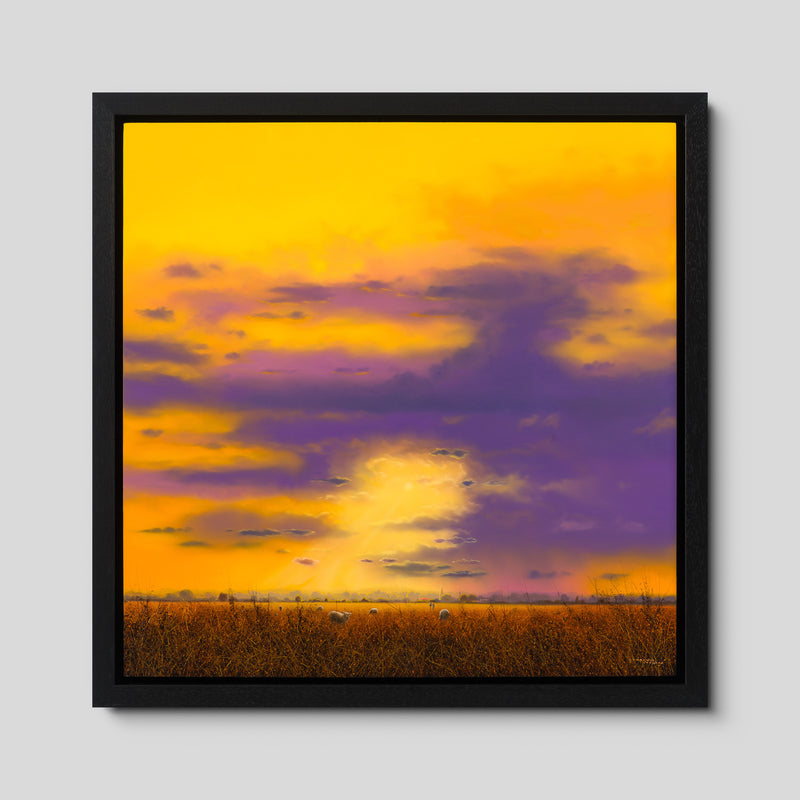 Sunburst Pasture