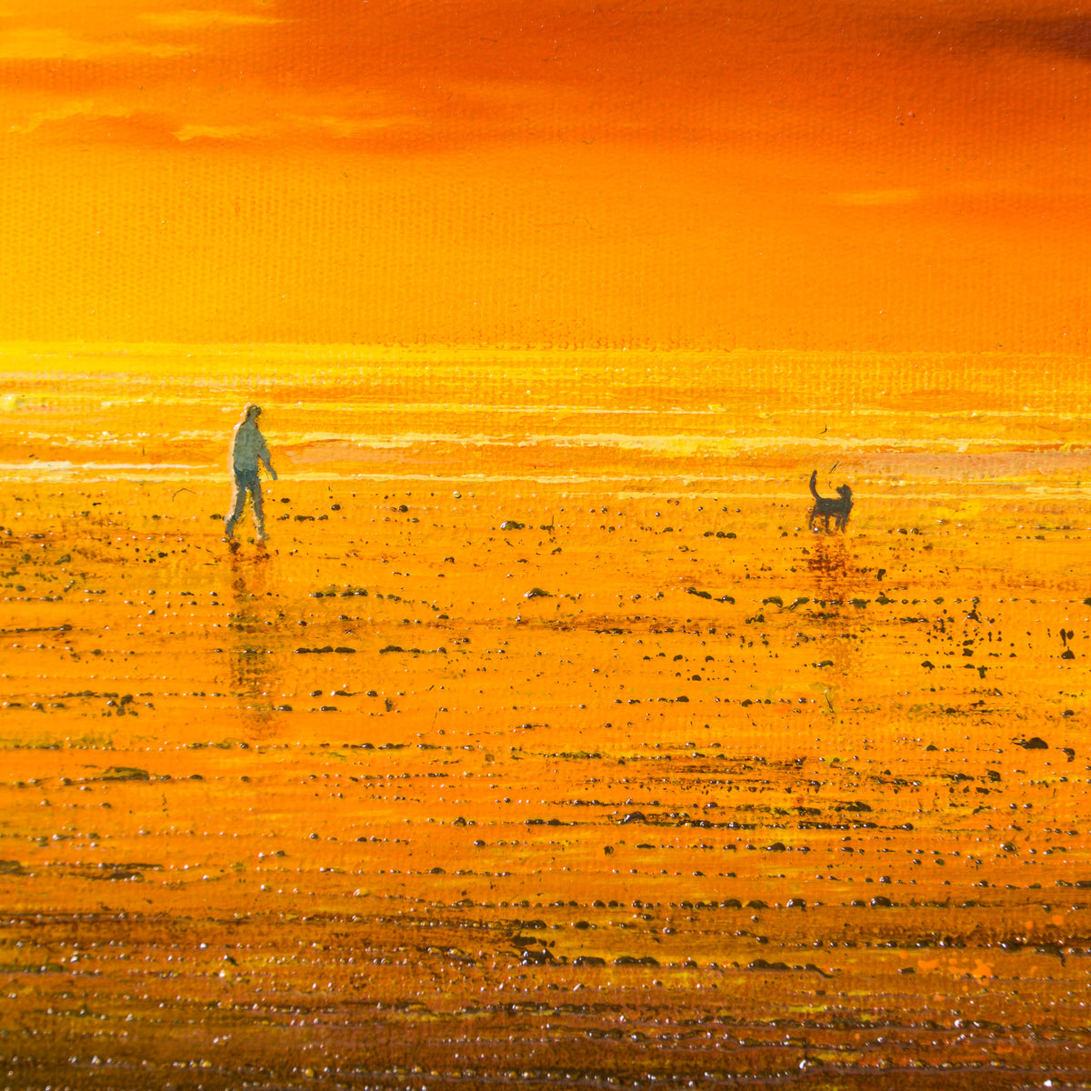 Sunset Sanctuary