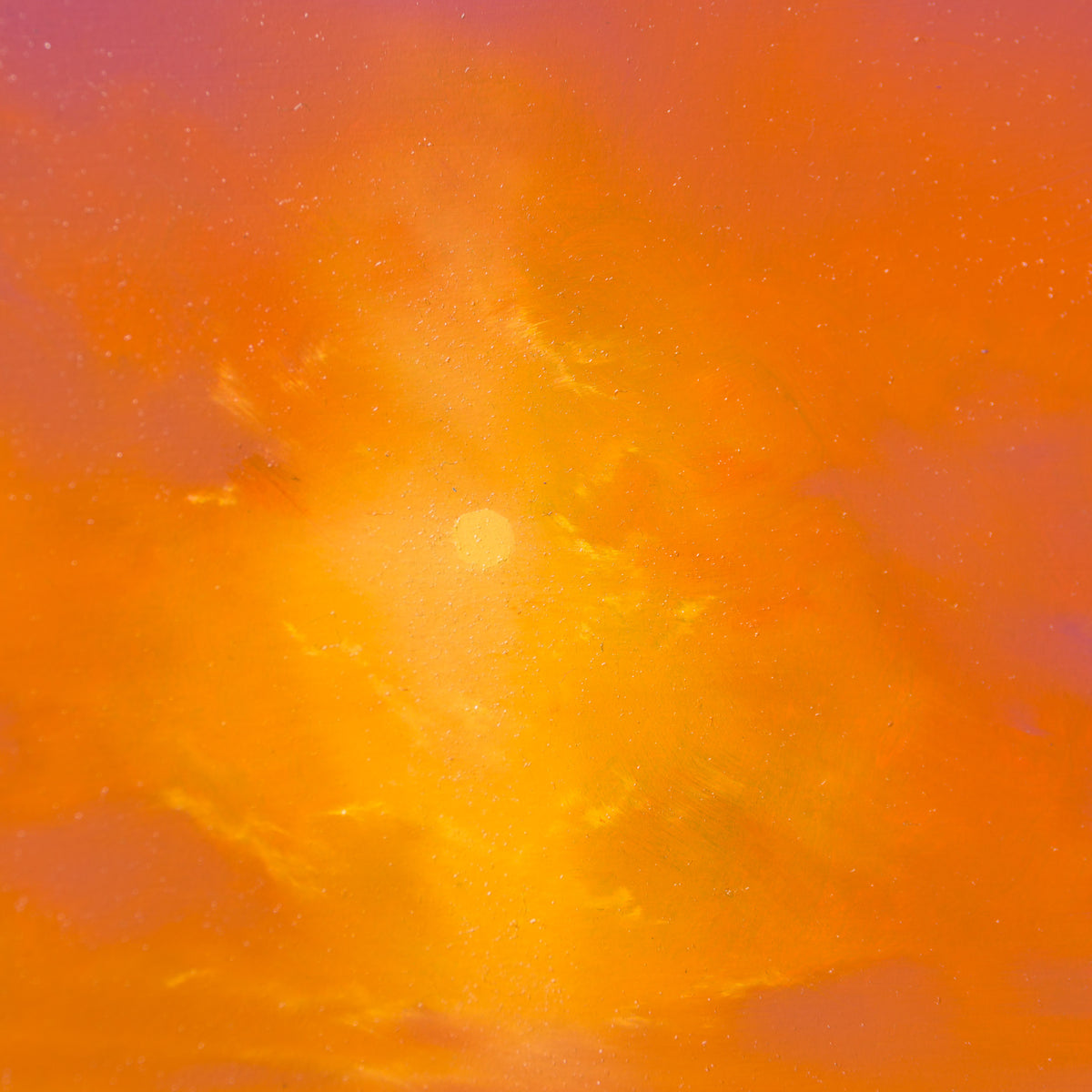 Where We Shine