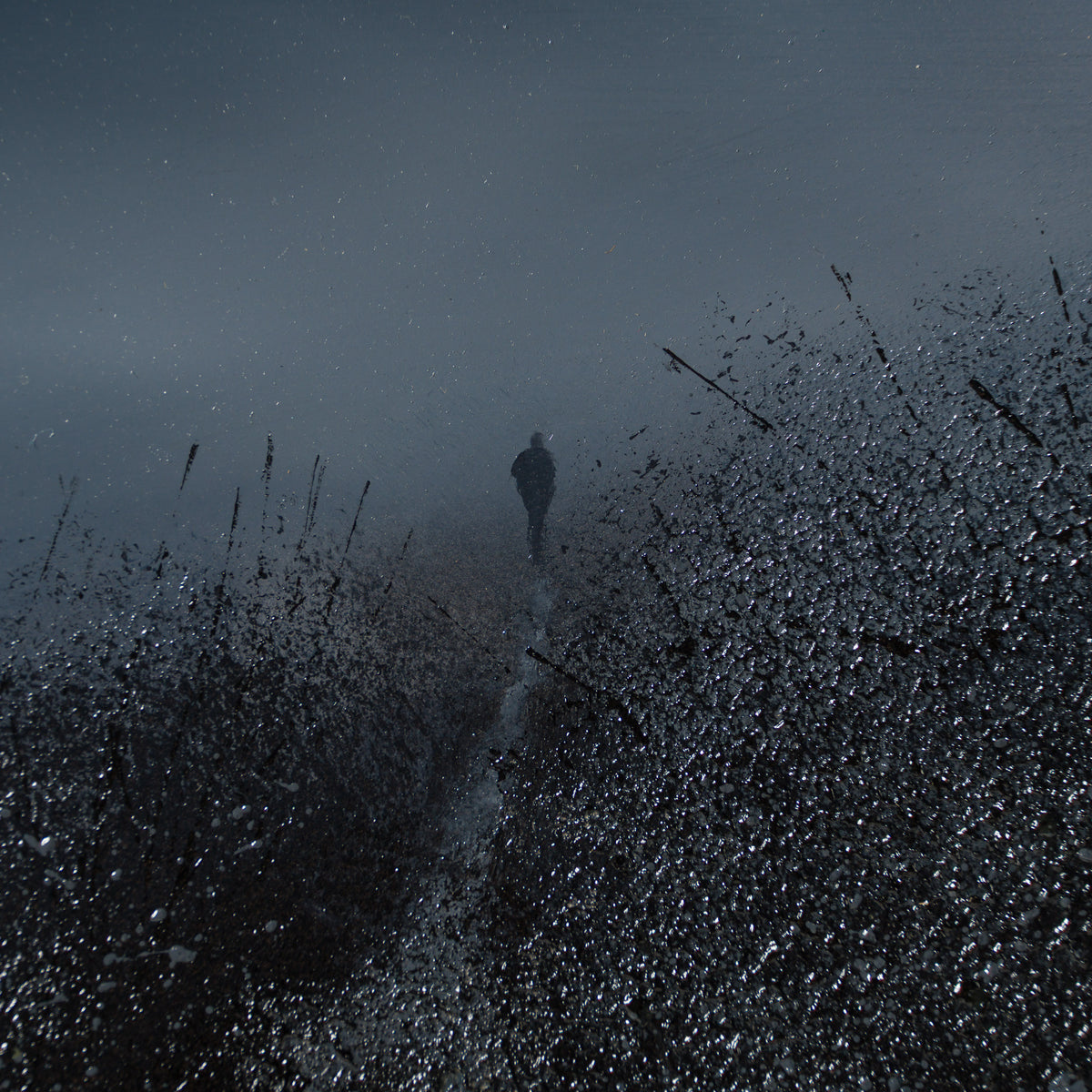 The Traveller