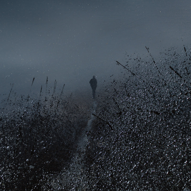 The Traveller