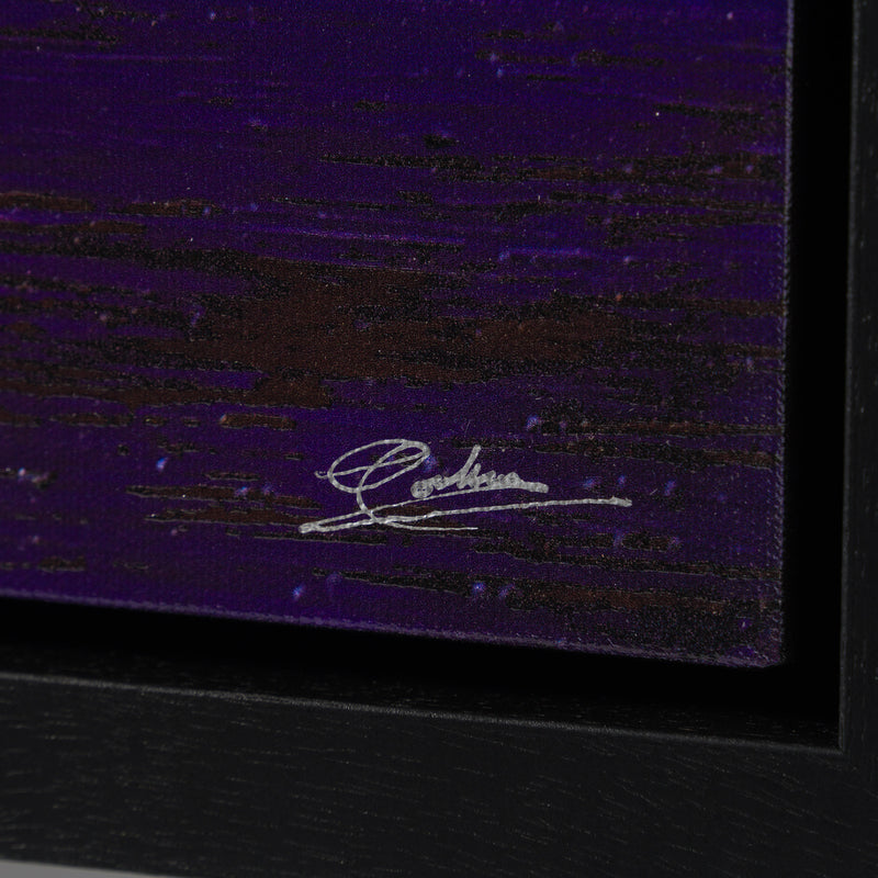 Spring 2026 | Framed Set of Three