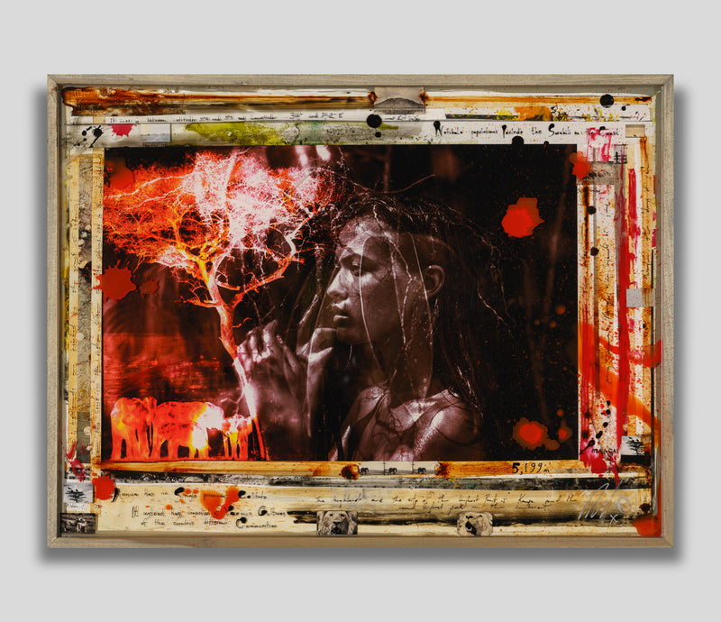 MAZ ORI POR 28237 1 Familia