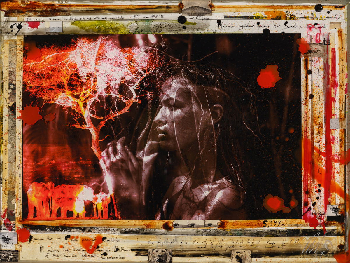 MAZ ORI POR 28237 3 Familia