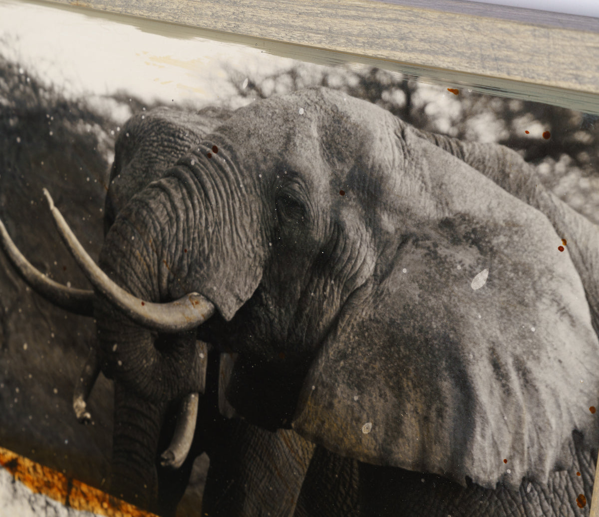 MAZ ORI POR 28241 5 Kuhama