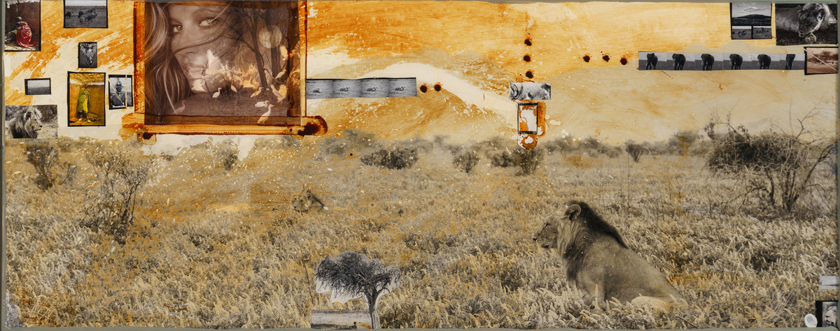 MAZ ORI POR 28243 3 Kulinda