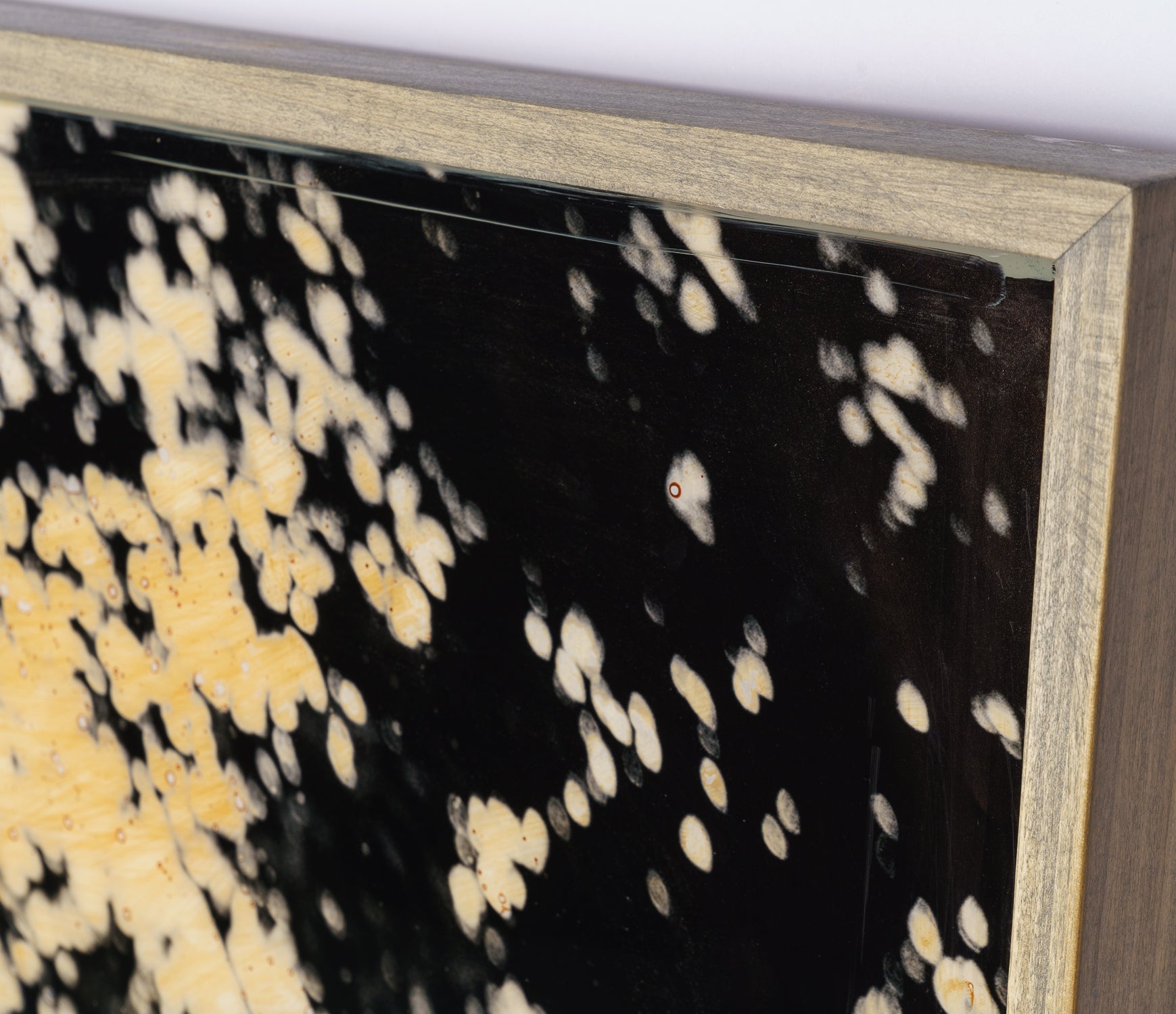 MAZ ORI POR 28247 5 Malisho