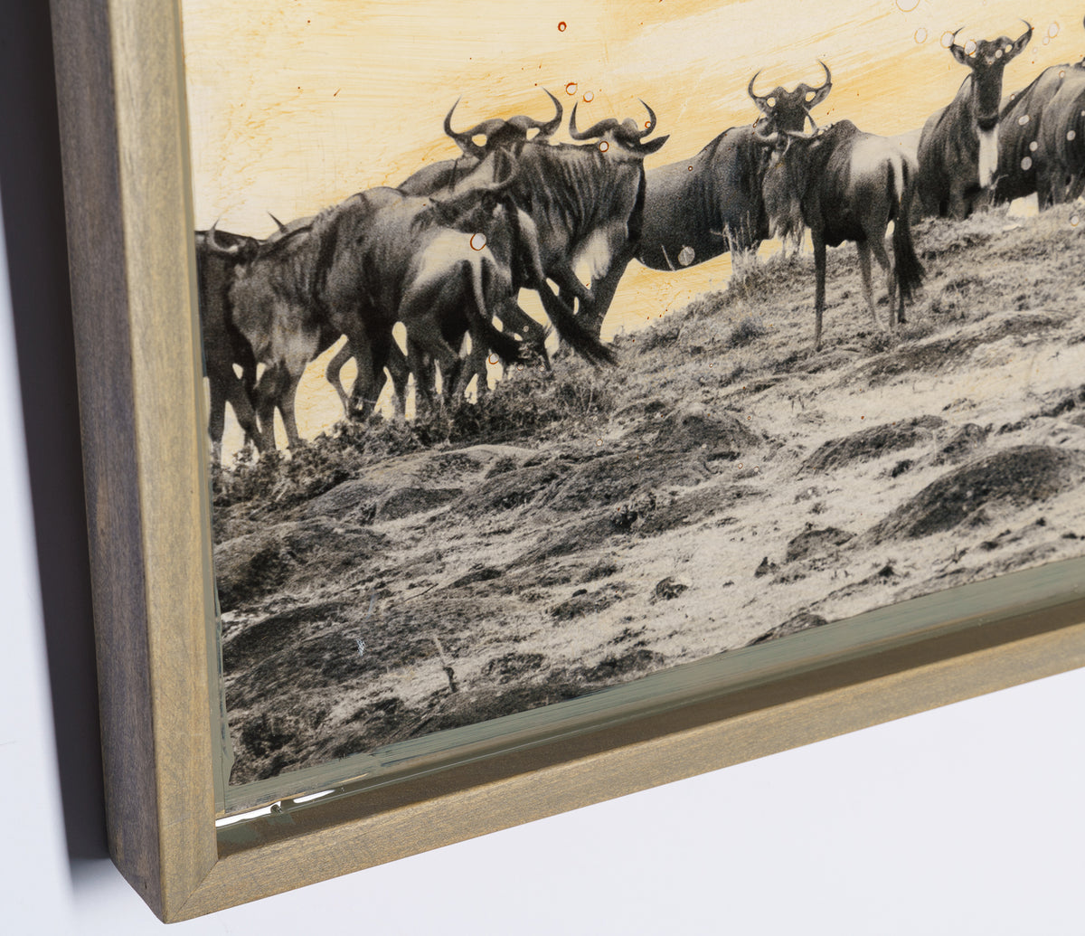 MAZ ORI POR 28247 6 Malisho