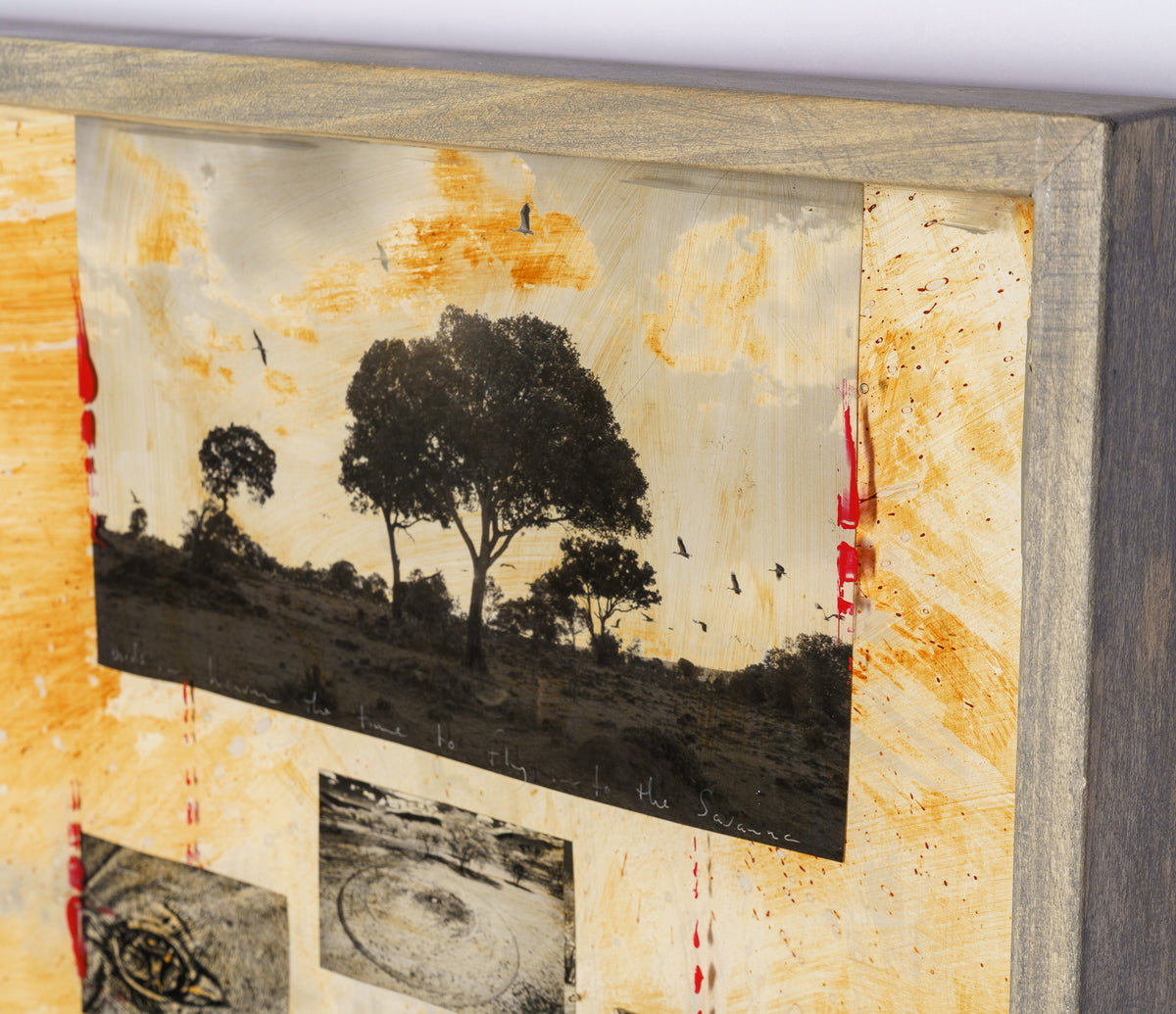 MAZ ORI POR 28255 5 Nyika