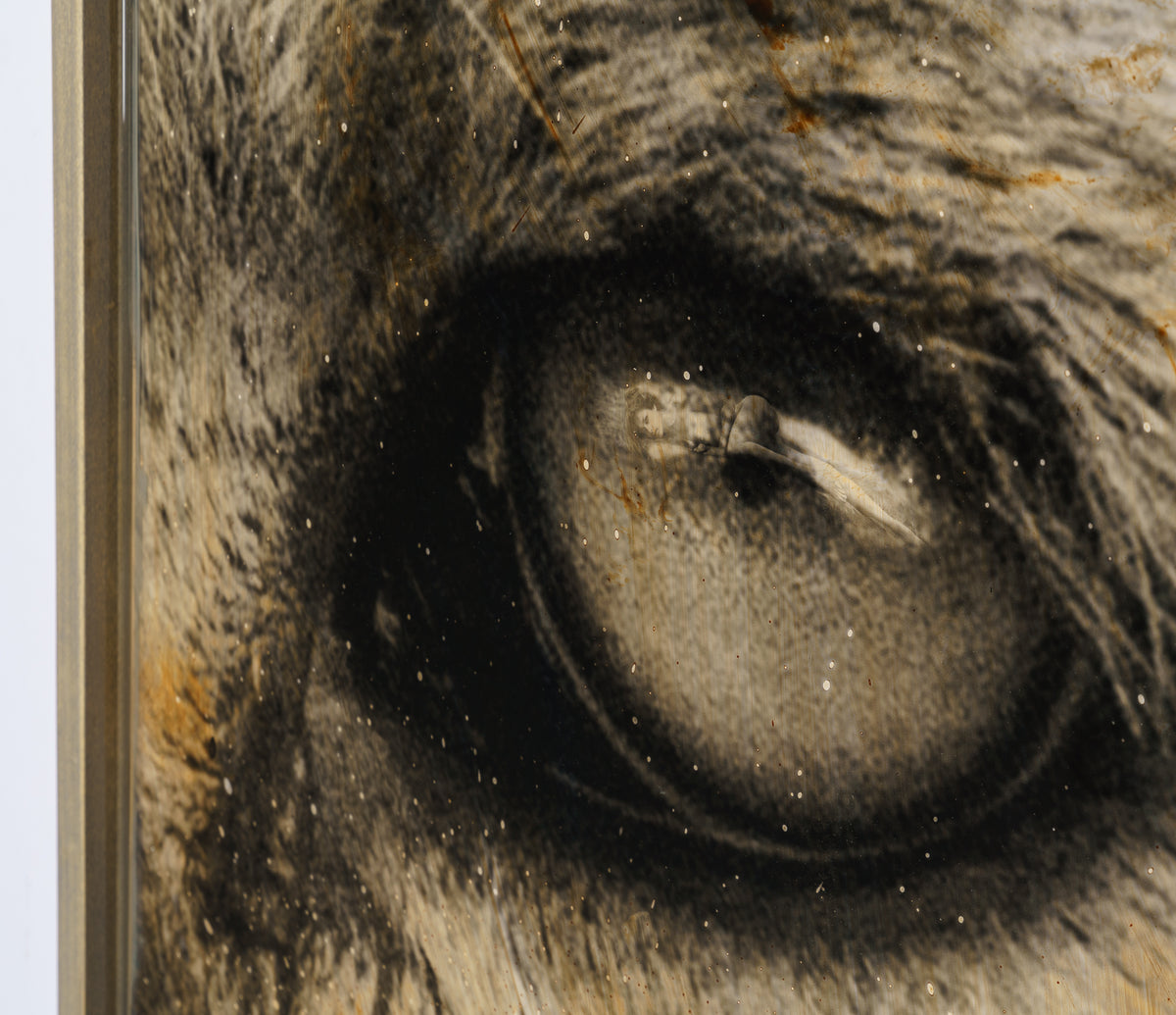 MAZ ORI POR 28259 6 Tafakari