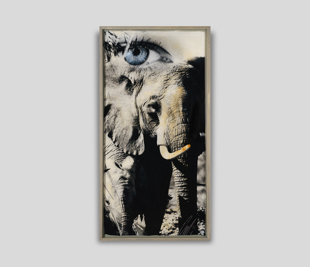 MAZ ORI POR 28261 1 Tembo