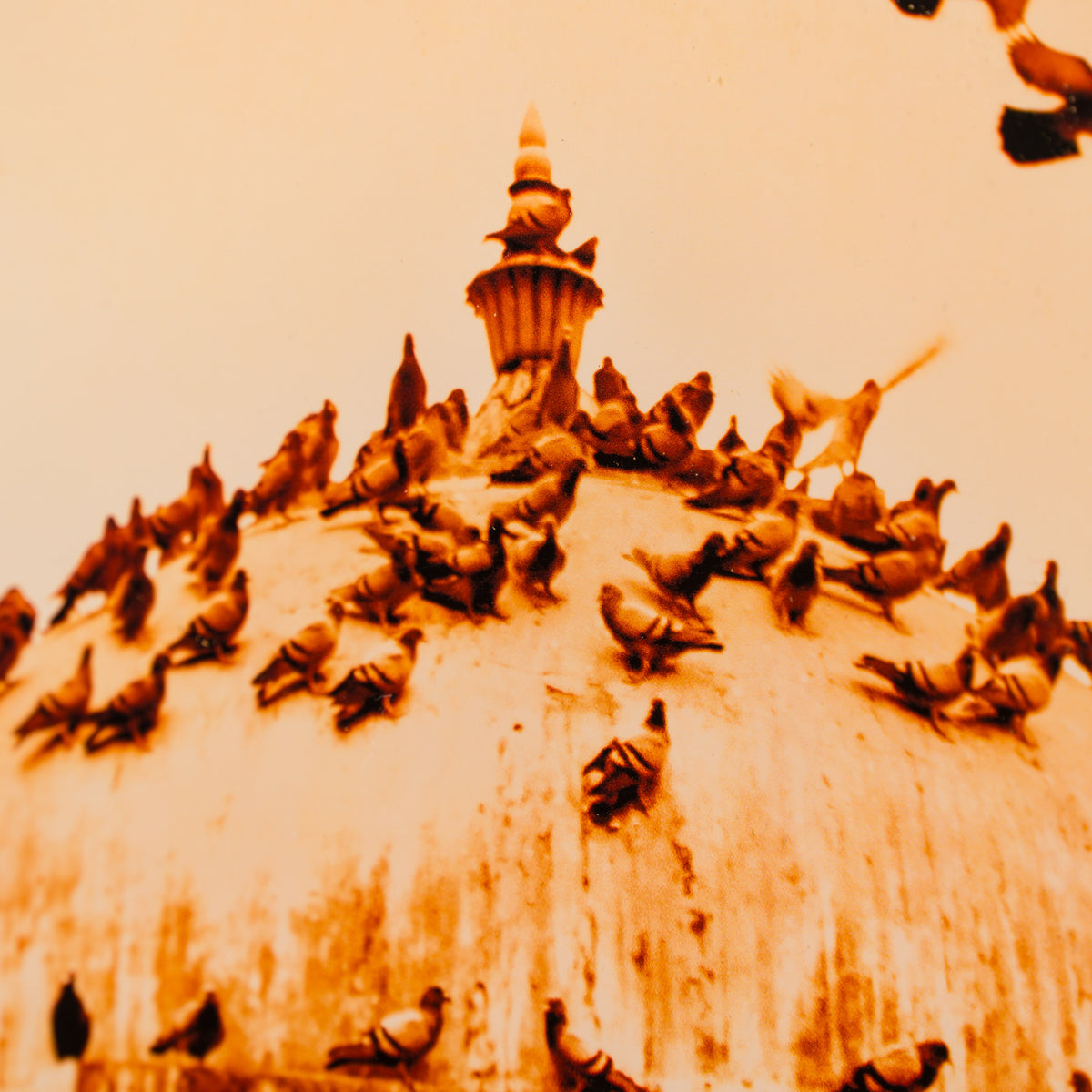 MUKTI (Freedom)