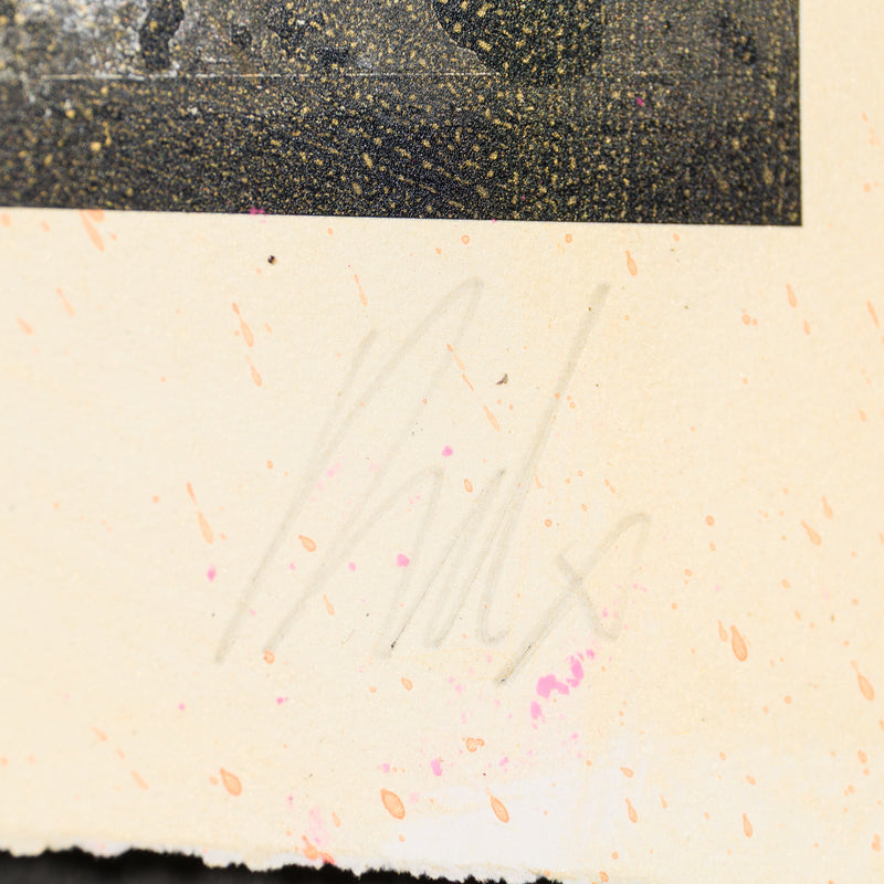 Aangan (The Courtyard) XXV