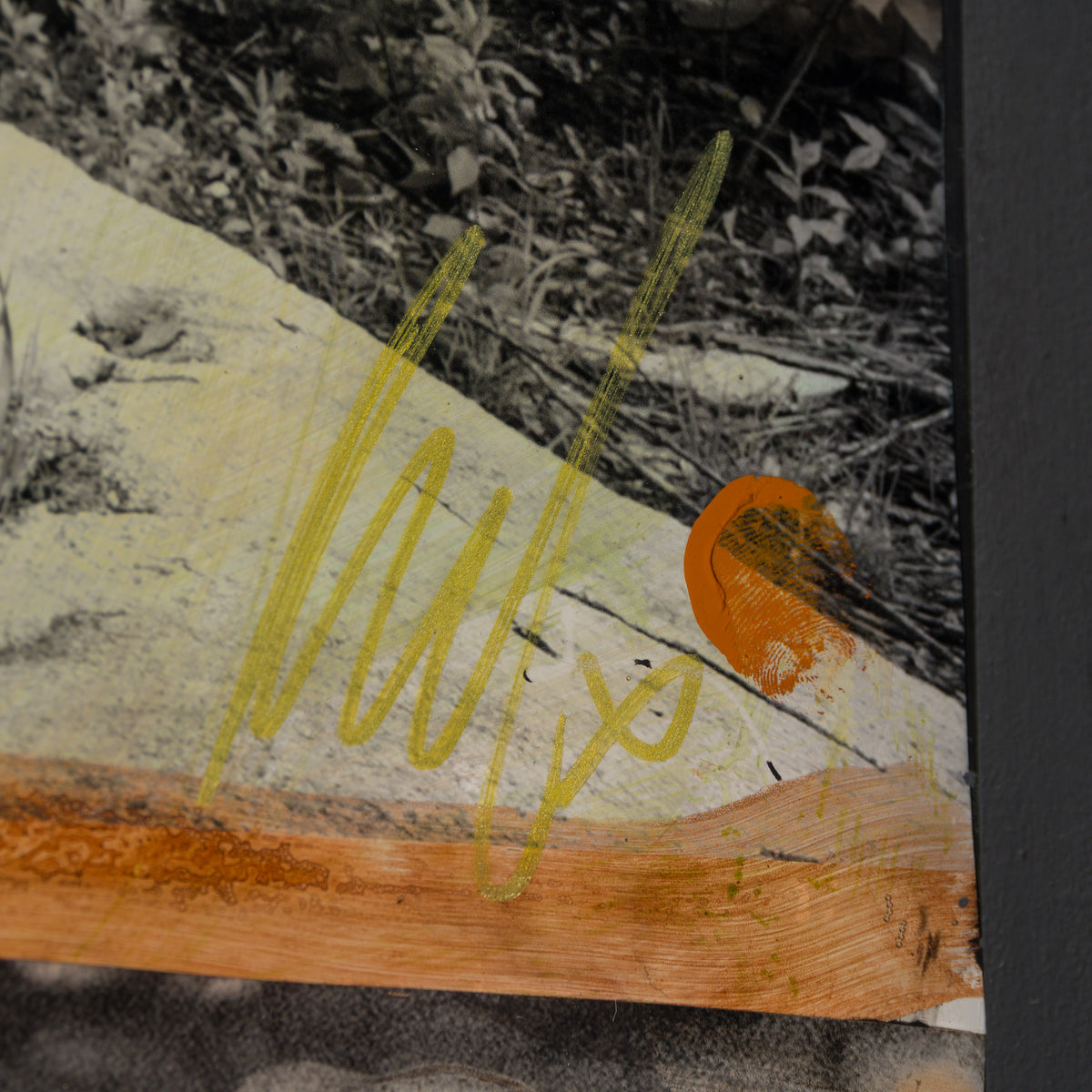 Daughters Of The Same Sky