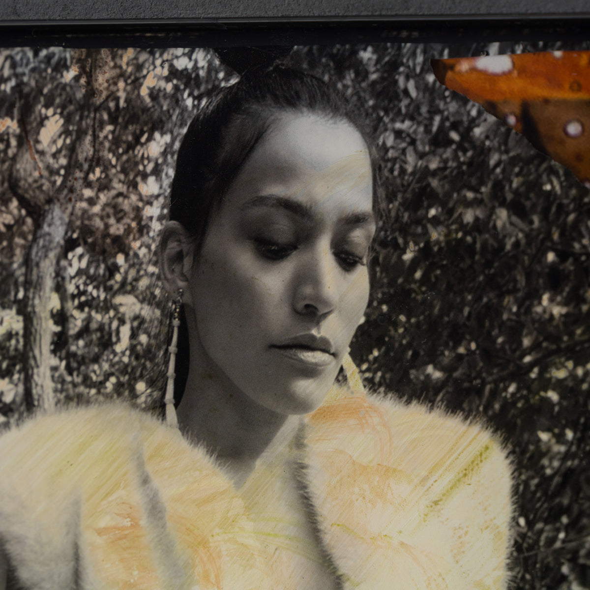 Daughters Of The Same Sky