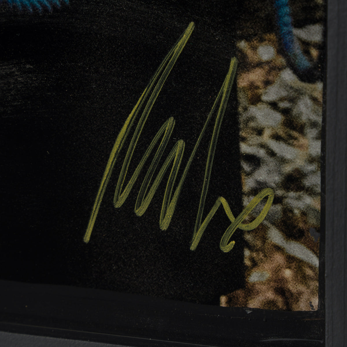 What the Heart Knows