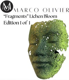 Fragments - Lichen Bloom