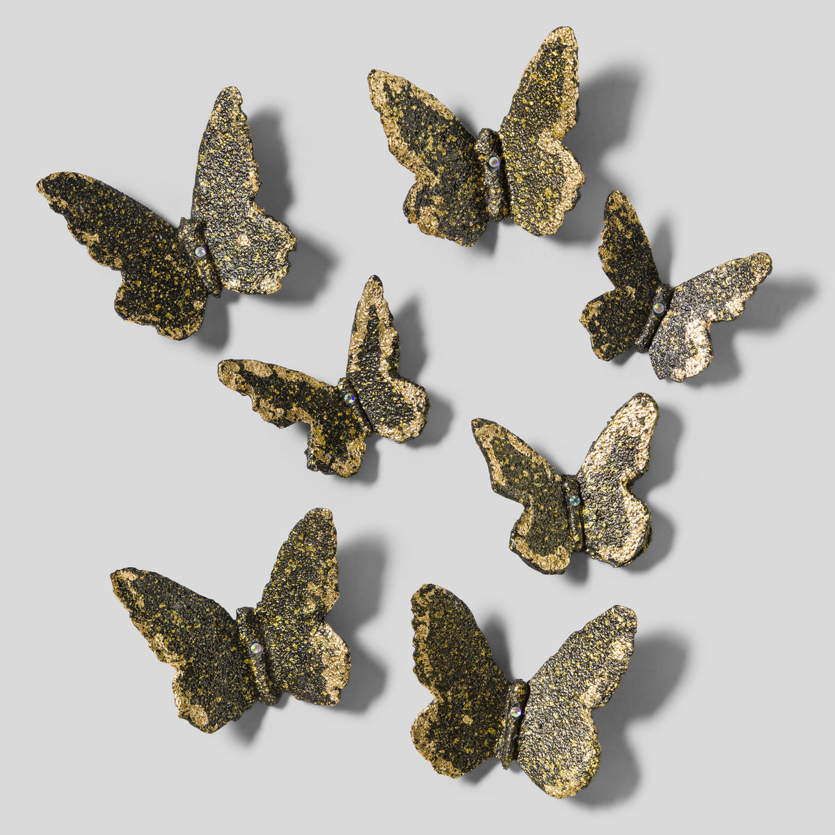 Papillon | 7 of 12